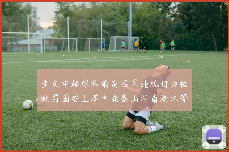多支中超球队前高层因违规行为被处罚国安上港申花泰山河南浙江等队受影响