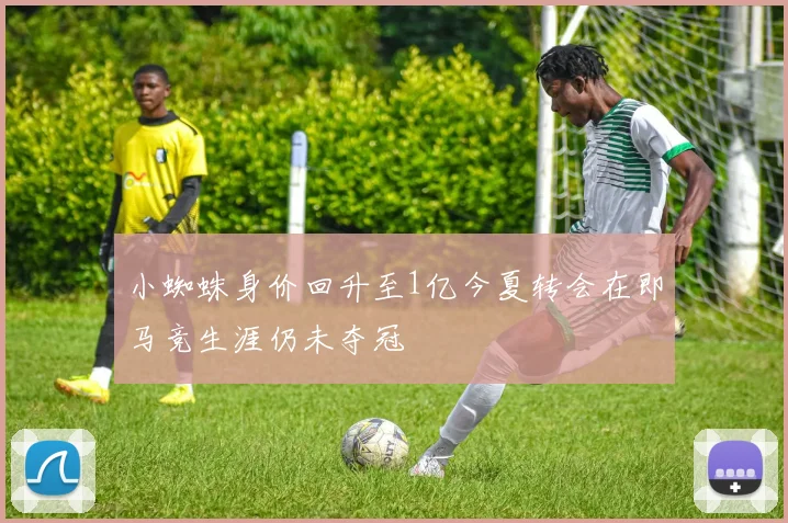 小蜘蛛身价回升至1亿今夏转会在即马竞生涯仍未夺冠